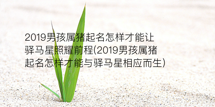 公司起名字游戏截图