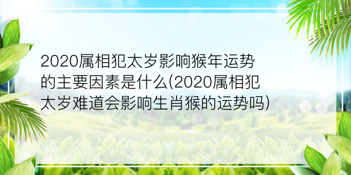 今日运势生肖游戏截图