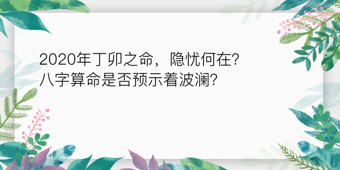 2020年丁卯之命，隐忧何在？八字算命是否预示着波澜？