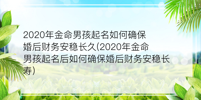 二零二算运网