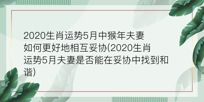 2020生肖运势5月中猴年夫妻如何更好地相互妥协(2020生肖运势5月夫妻是否能在妥协中找到和谐)