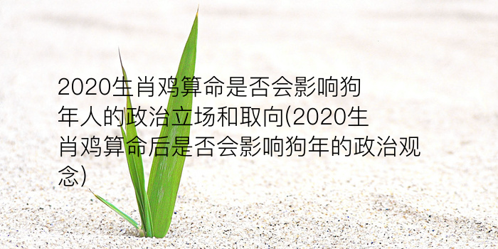 算命排生肖是虚岁还是周岁游戏截图