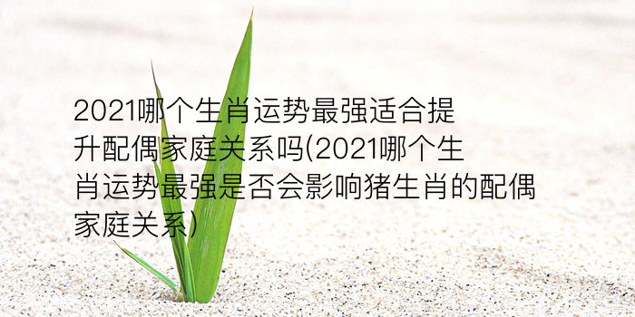 2024年犯太岁游戏截图