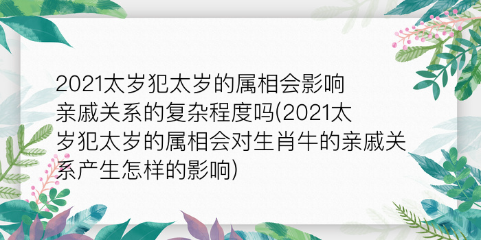 二零二算运网