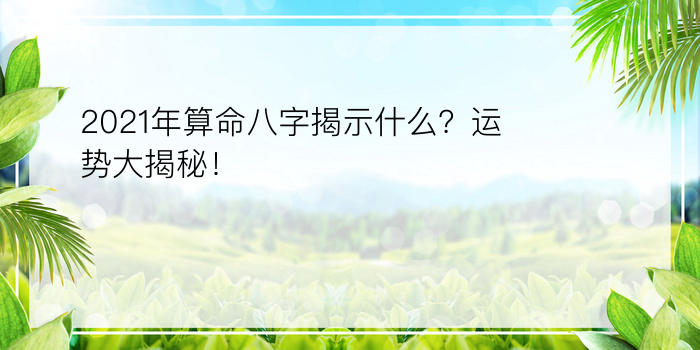 公司八字起名测试打分游戏截图