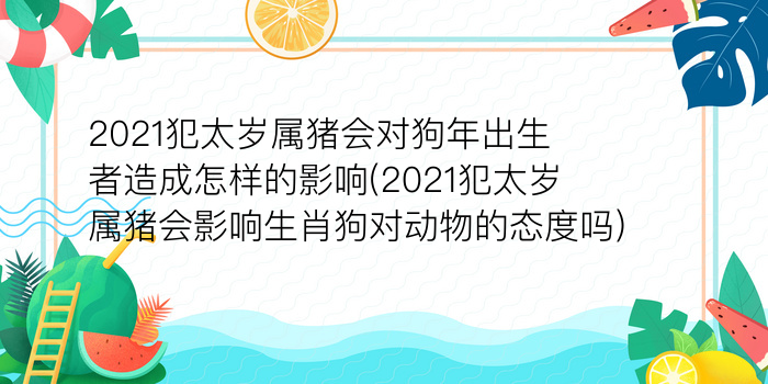 2021犯太岁属猪会对狗年出生者造成怎样的影响(2021犯太岁属猪会影响生肖狗对动物的态度吗)