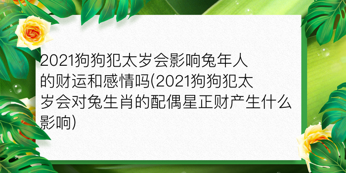 二零二算运网