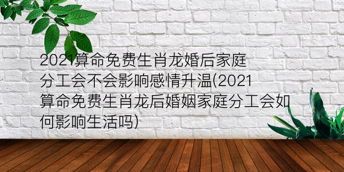 二零二算运网