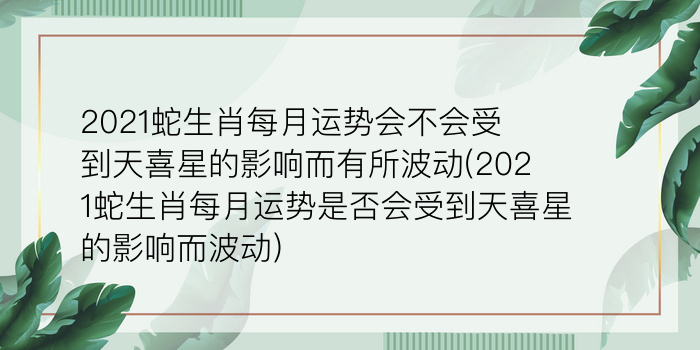 二零二算运网