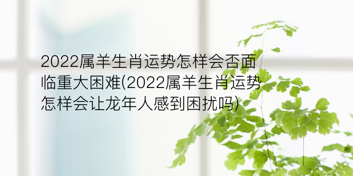 2022属羊生肖运势怎样会否面临重大困难(2022属羊生肖运势怎样会让龙年人感到困扰吗)