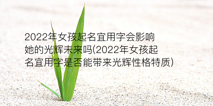 软件公司起名游戏截图