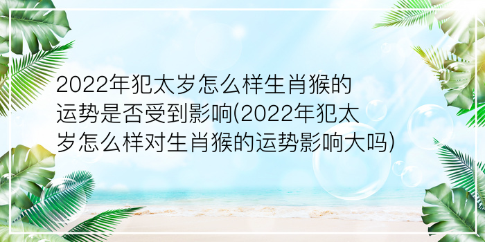 生肖鼠今年运势游戏截图