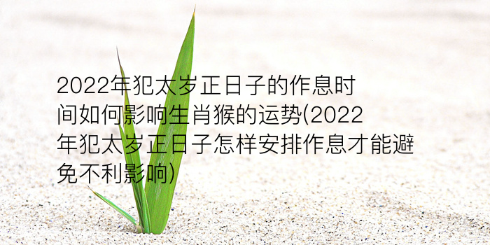 12生肖2019年运势游戏截图