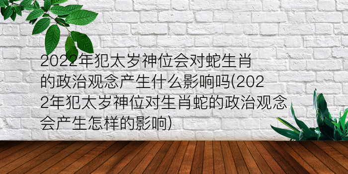 算命先生代表什么生肖游戏截图