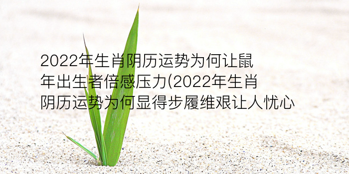 2024年犯太岁的生肖及运势游戏截图