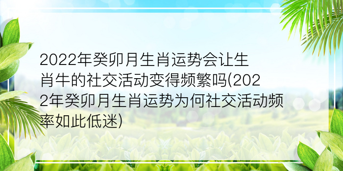 二零二算运网