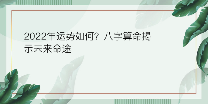 八字算运程准吗游戏截图