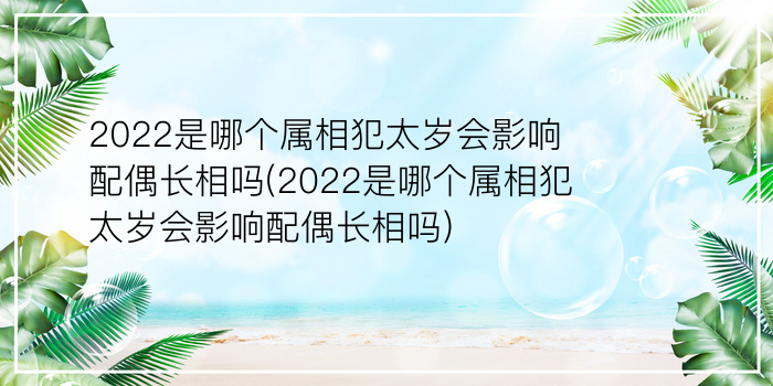 2022是哪个属相犯太岁会影响配偶长相吗(2022是哪个属相犯太岁会影响配偶长相吗)