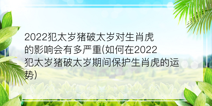 二零二算运网