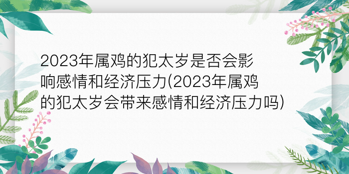 二零二算运网