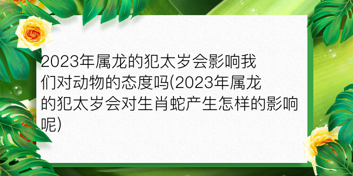 犯太岁佩戴什么化解游戏截图