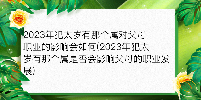 二零二算运网