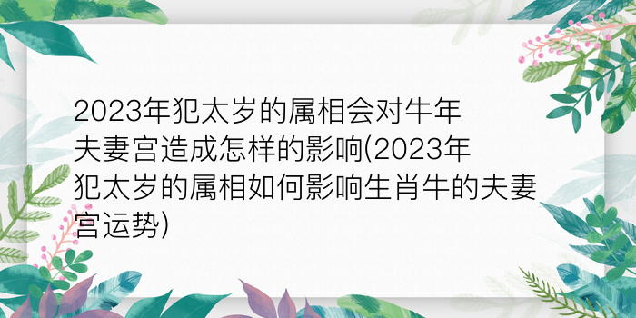 8当命理网