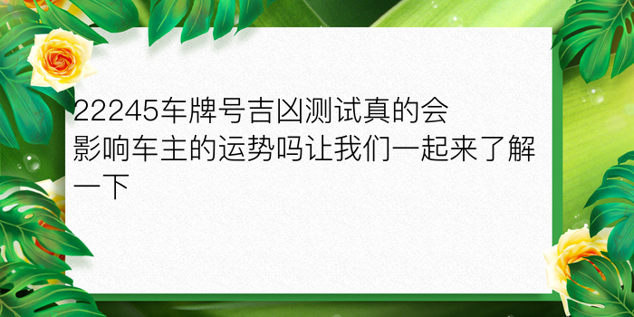 车牌号码吉凶查询最准游戏截图