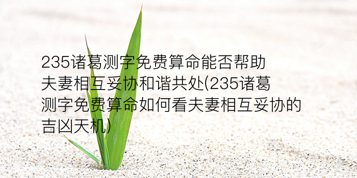 周易八字算卦游戏截图