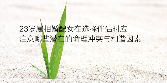 最准的八字算命网游戏截图