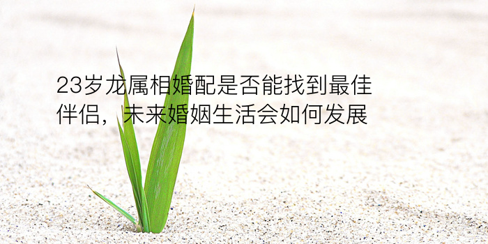 八字免费算运程游戏截图