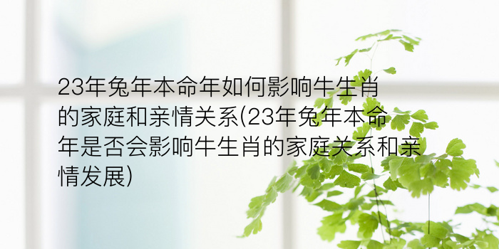 23年兔年本命年如何影响牛生肖的家庭和亲情关系(23年兔年本命年是否会影响牛生肖的家庭关系和亲情发展)