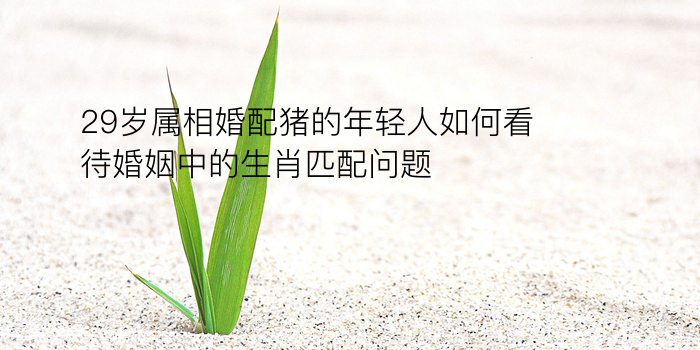 车牌号码测吉凶准吗游戏截图