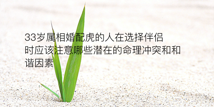 八字算每日运程游戏截图