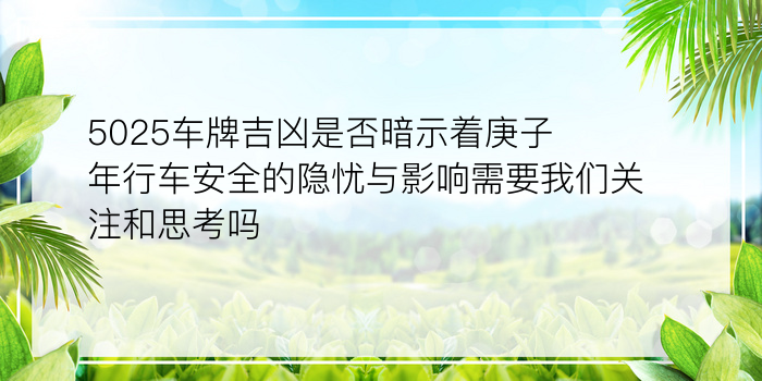 5025车牌吉凶是否暗示着庚子年行车安全的隐忧与影响需要我们关注和思考吗