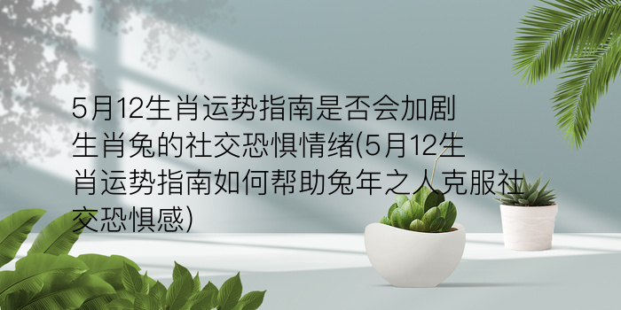 5月12生肖运势指南是否会加剧生肖兔的社交恐惧情绪(5月12生肖运势指南如何帮助兔年之人克服社交恐惧感)