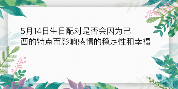 情侣姓名配对指数游戏截图