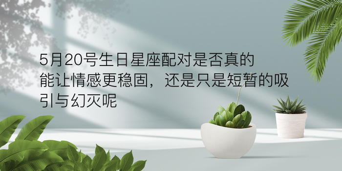 网上姓名配对玩具游戏截图