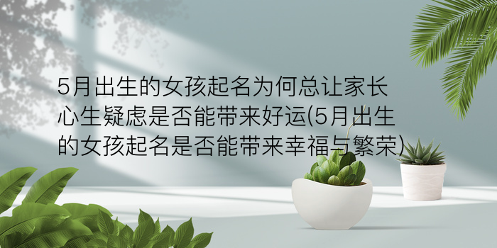 陈姓鸡宝贝周易取名游戏截图