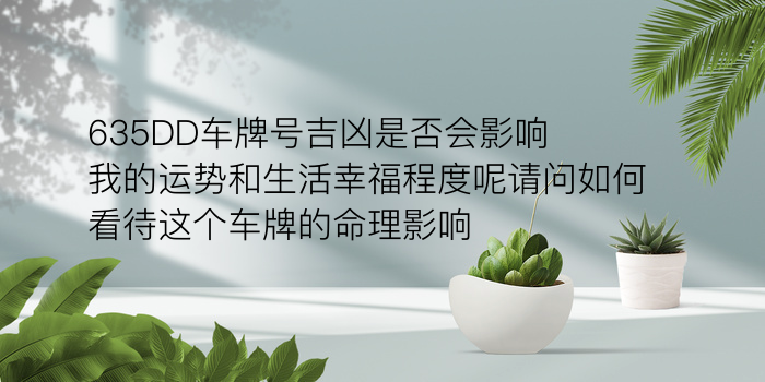 号码吉凶车牌号码游戏截图