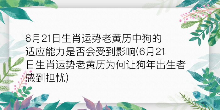 6月21日生肖运势老黄历中狗的适应能力是否会受到影响(6月21日生肖运势老黄历为何让狗年出生者感到担忧)