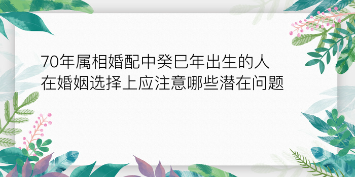 70年属相婚配中癸巳年出生的人在婚姻选择上应注意哪些潜在问题