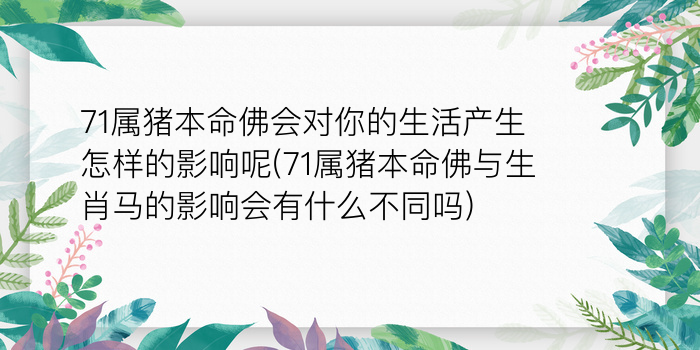 71属猪本命佛会对你的生活产生怎样的影响呢(71属猪本命佛与生肖马的影响会有什么不同吗)