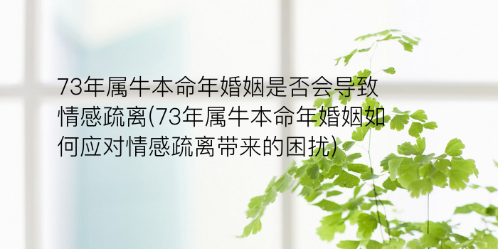 73年属牛本命年婚姻是否会导致情感疏离(73年属牛本命年婚姻如何应对情感疏离带来的困扰)