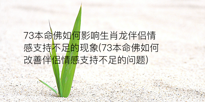 算命先生代表什么生肖游戏截图