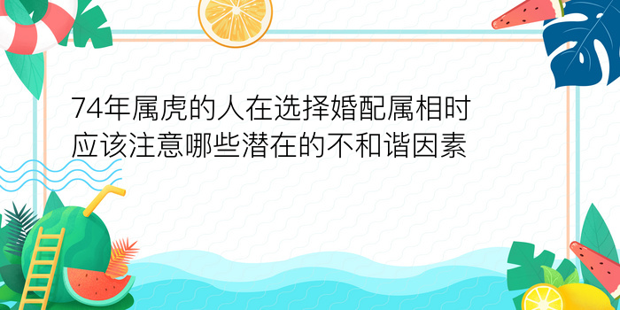 汽车牌照测吉凶游戏截图