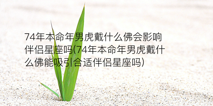 本命年结果游戏截图