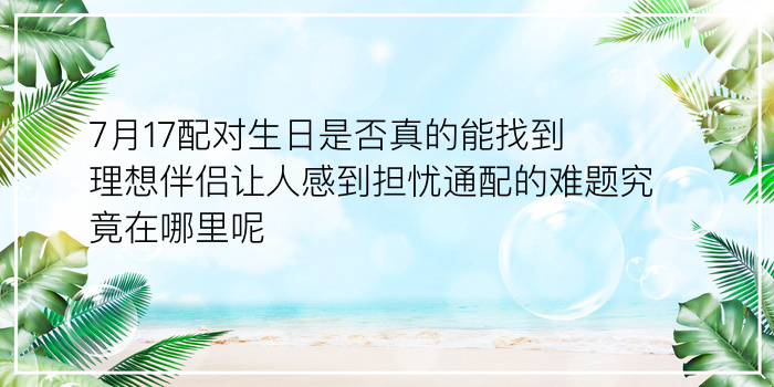 生肖虎配对游戏截图