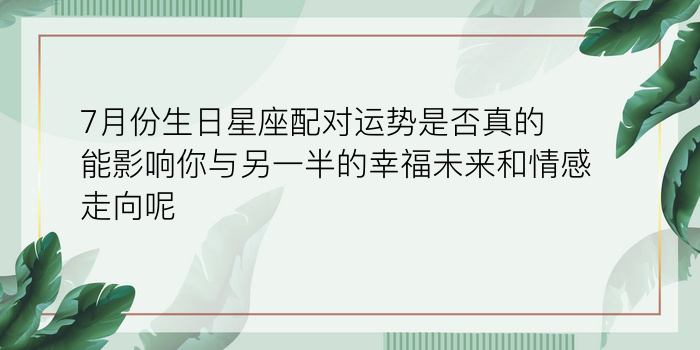 测汽车牌照吉凶游戏截图