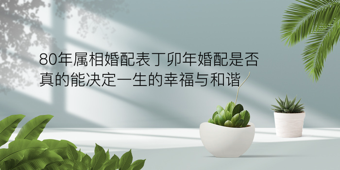 八字算命吧游戏截图